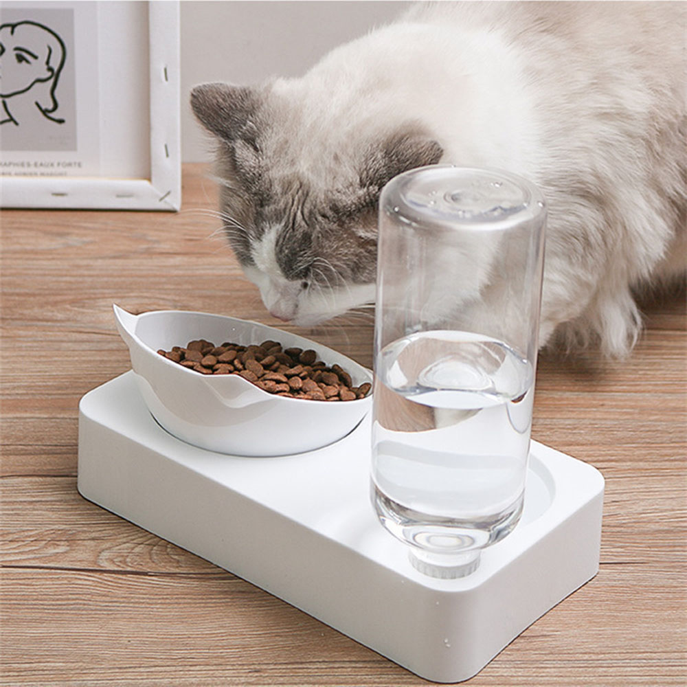Cat's Food and Water Bowl